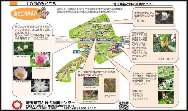 キャプチャ0.JPG